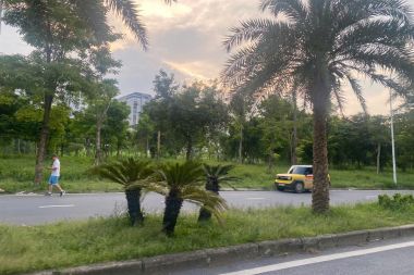 Bán liền kề Thanh Hà A1.2 LK18, diện tích 108,55 m2, hướng Đông Nam mát mẻ, mặt đường 25m, gần hồ tiềm năng sinh lời cao